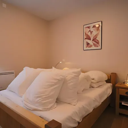 C5 - La Montille Apartamento Mont-Dore